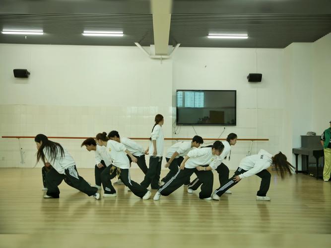 广西学舞蹈的学校有哪些？-第1张图片-泰美艺术培训