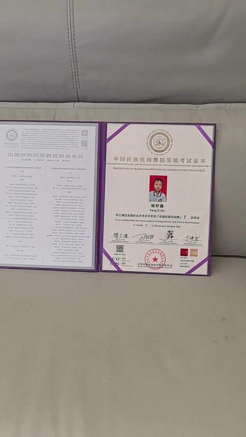 舞蹈生考级证书到底能不能加分？-第2张图片-泰美艺术培训