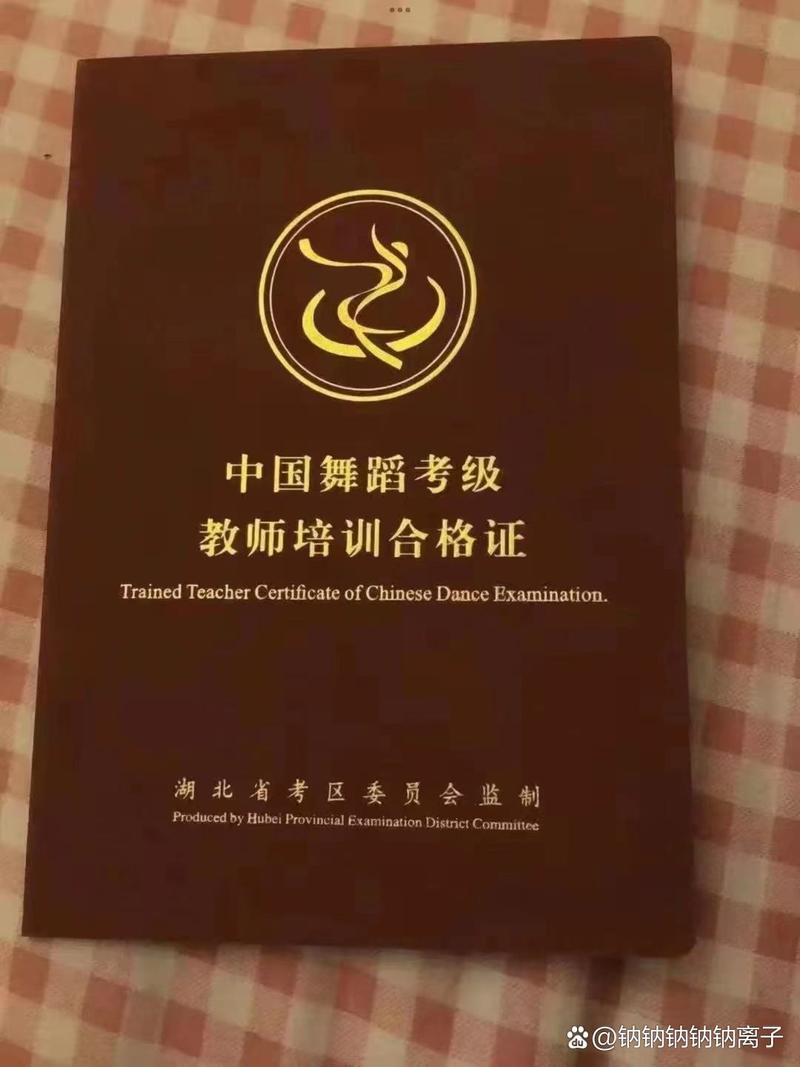 吉林省舞蹈联考报名入口在哪里?-第2张图片-泰美艺术培训 吉林省舞蹈联考报名入口在哪里?-第2张图片-泰美艺术培训
