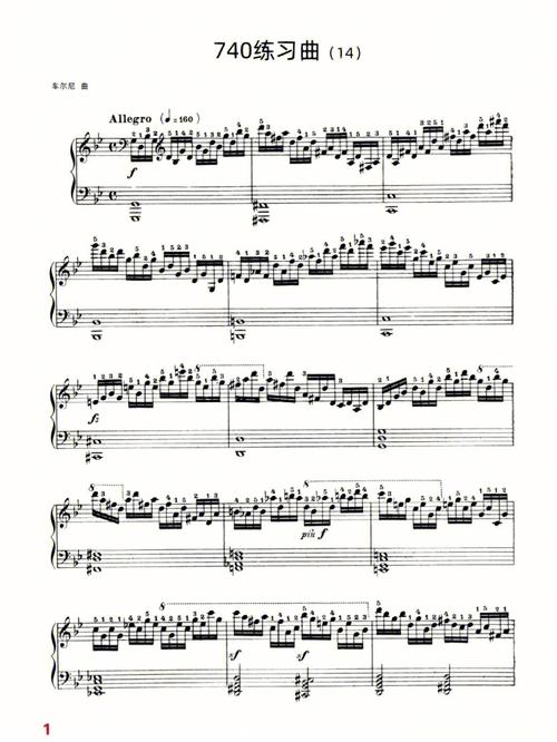 车尔尼740 音乐学院-第1张图片-泰美艺术培训 车尔尼740 音乐学院-第1张图片-泰美艺术培训