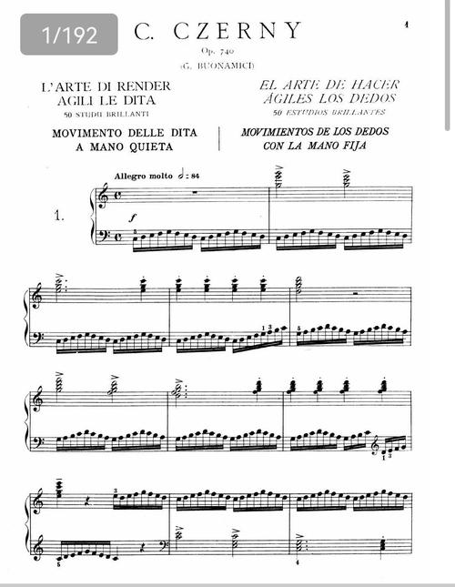 车尔尼740 音乐学院-第2张图片-泰美艺术培训 车尔尼740 音乐学院-第2张图片-泰美艺术培训