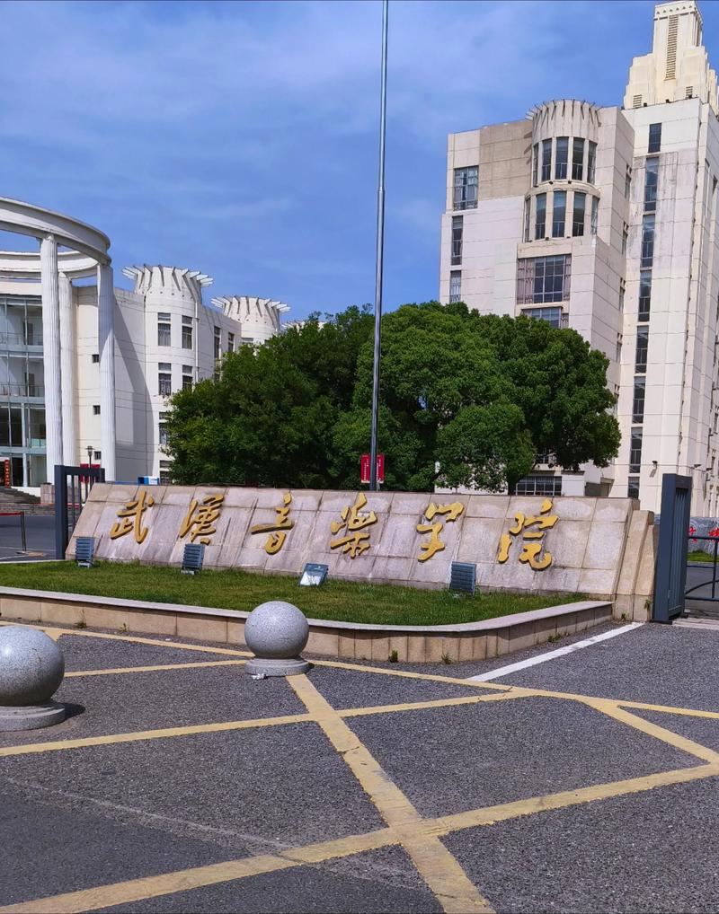 2025武汉音乐类学校有哪些？招生要求是什么？-第1张图片-泰美艺术培训