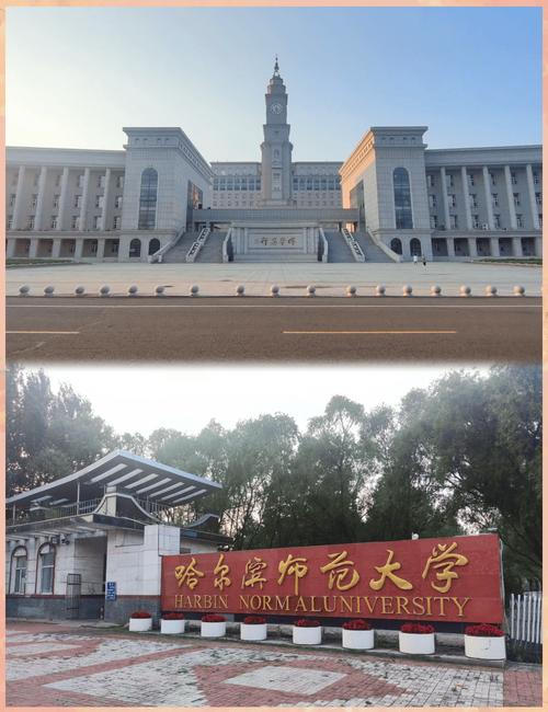 哈尔滨美术学院有何特色与优势？-第2张图片-泰美艺术培训