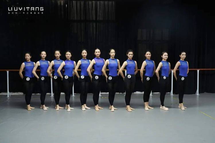 2025舞蹈校考考什么？艺考生如何备考？-第1张图片-泰美艺术培训