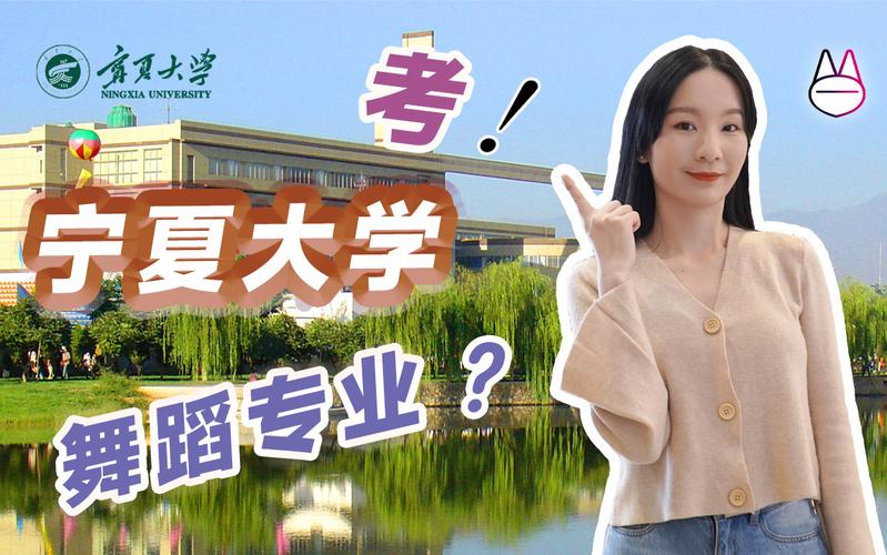 宁夏大学舞蹈生文化成绩要求多少？-第3张图片-泰美艺术培训