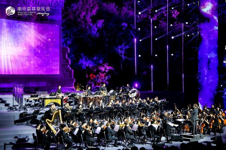 2025成高 音乐表演-第1张图片-泰美艺术培训