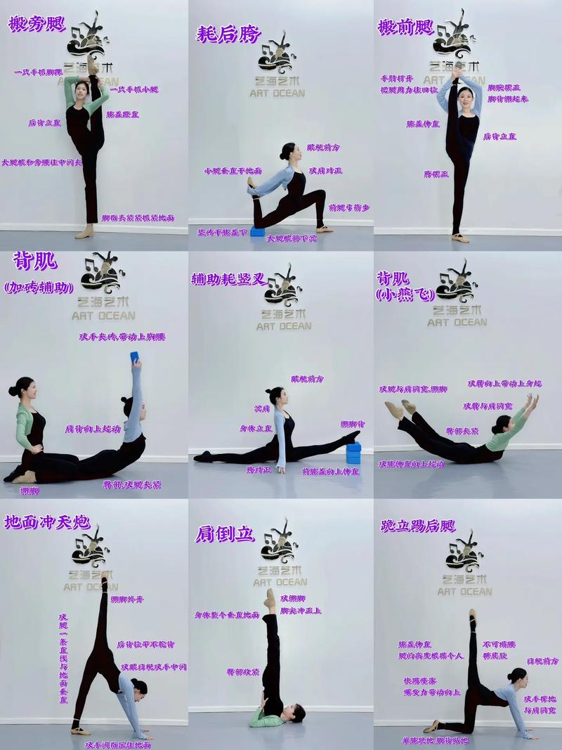 艺考舞蹈专业考哪些核心内容？-第3张图片-泰美艺术培训