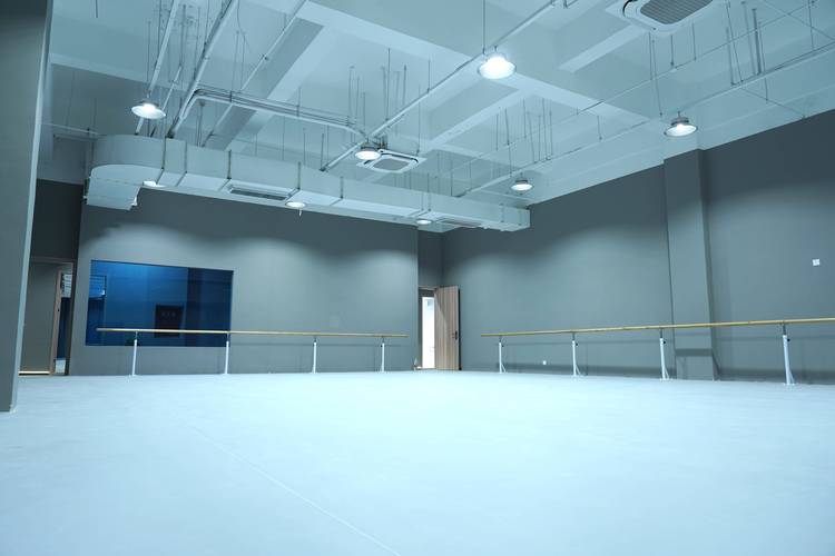 成都哪家舞蹈培训中心最好？-第2张图片-泰美艺术培训