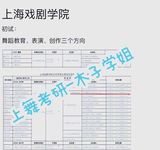 舞蹈教育研究生招生要求有哪些？-第3张图片-泰美艺术培训
