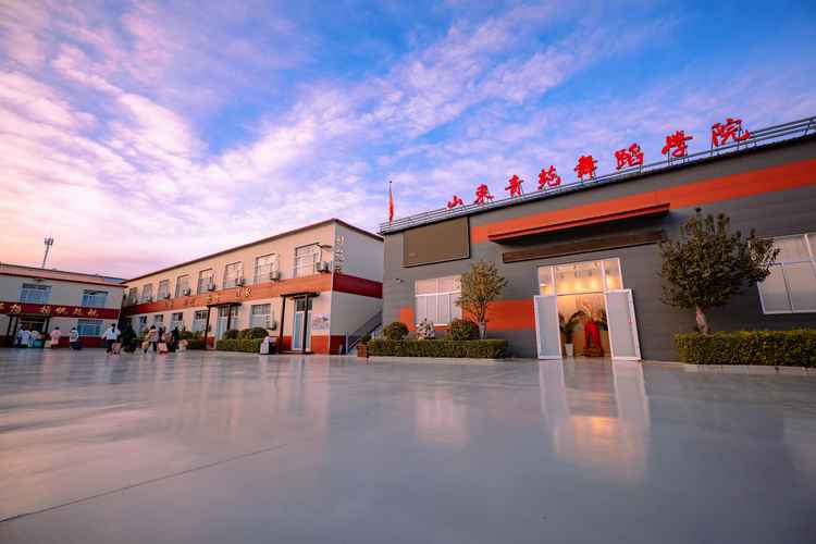 哪些学校承认辽宁舞蹈联考成绩？-第1张图片-泰美艺术培训