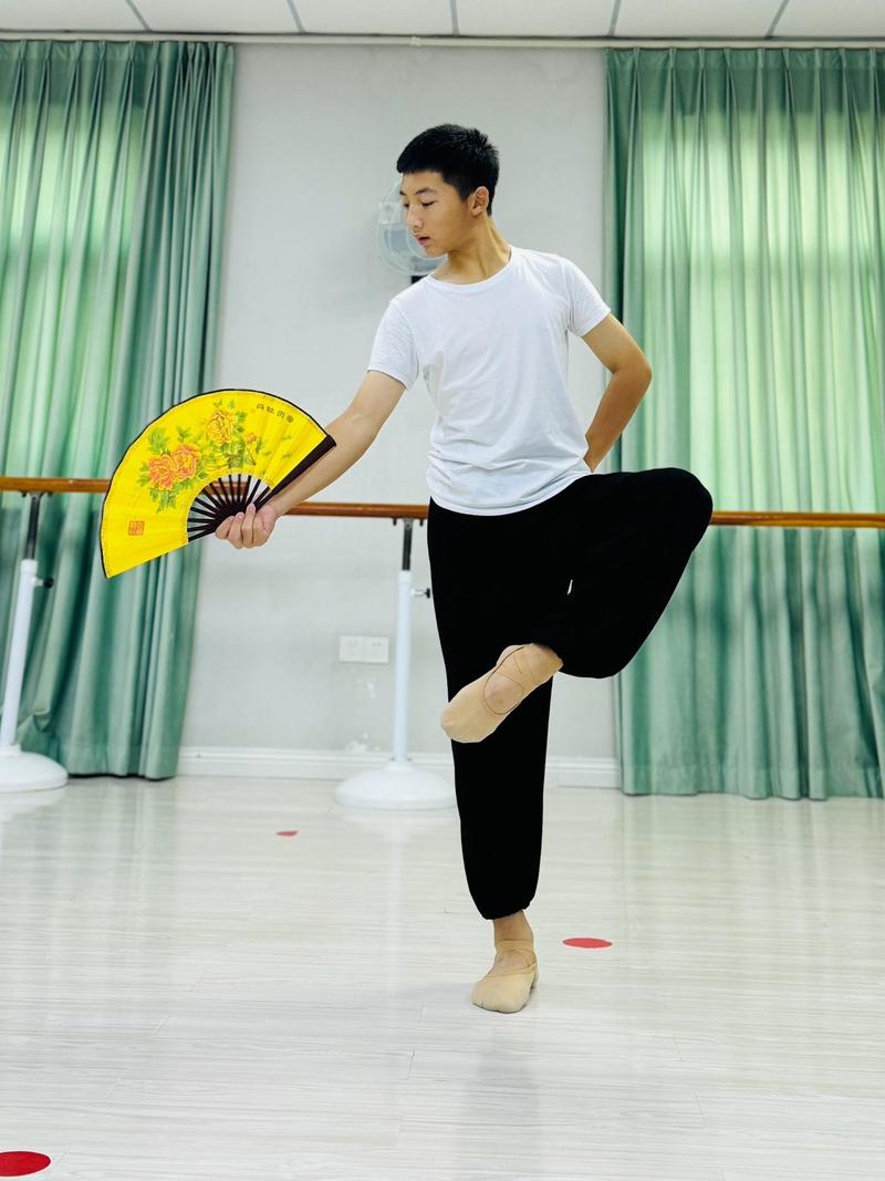 广东舞蹈艺考男生人数有多少？-第3张图片-泰美艺术培训