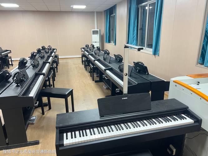石家庄音乐艺考培训学校-第2张图片-泰美艺术培训