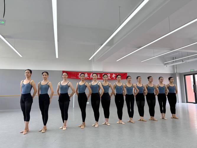 往年舞蹈艺考视频，考官看重哪些细节？-第1张图片-泰美艺术培训