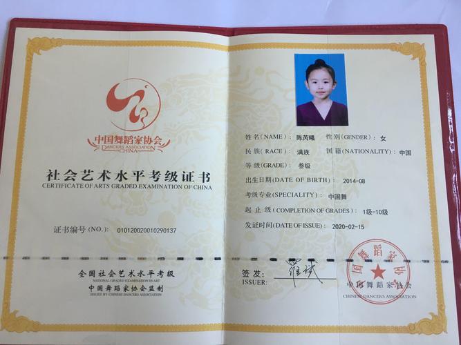 舞蹈师资证能跳级考吗？-第3张图片-泰美艺术培训