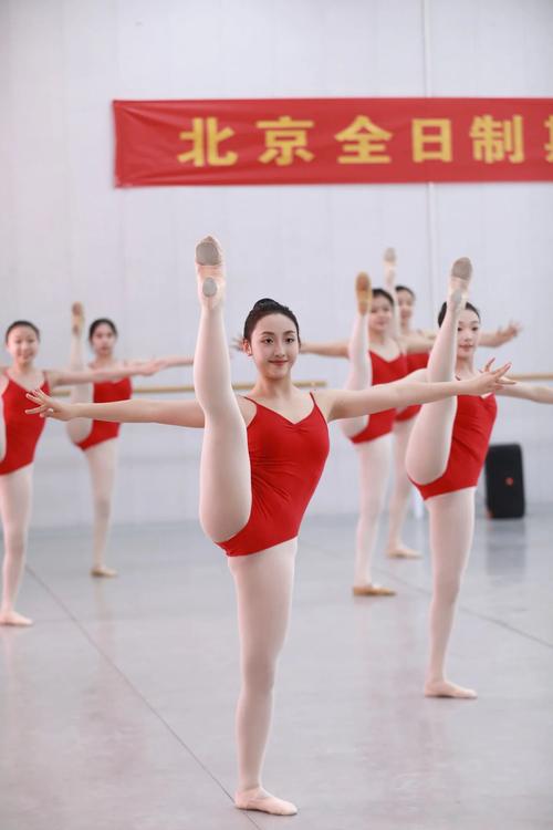 哪个艺术有舞蹈专业学校-第3张图片-泰美艺术培训