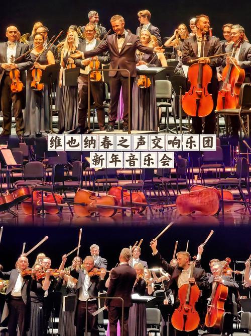 2025山师大音乐联考考什么?-第3张图片-泰美艺术培训 2025山师大音乐联考考什么?-第3张图片-泰美艺术培训