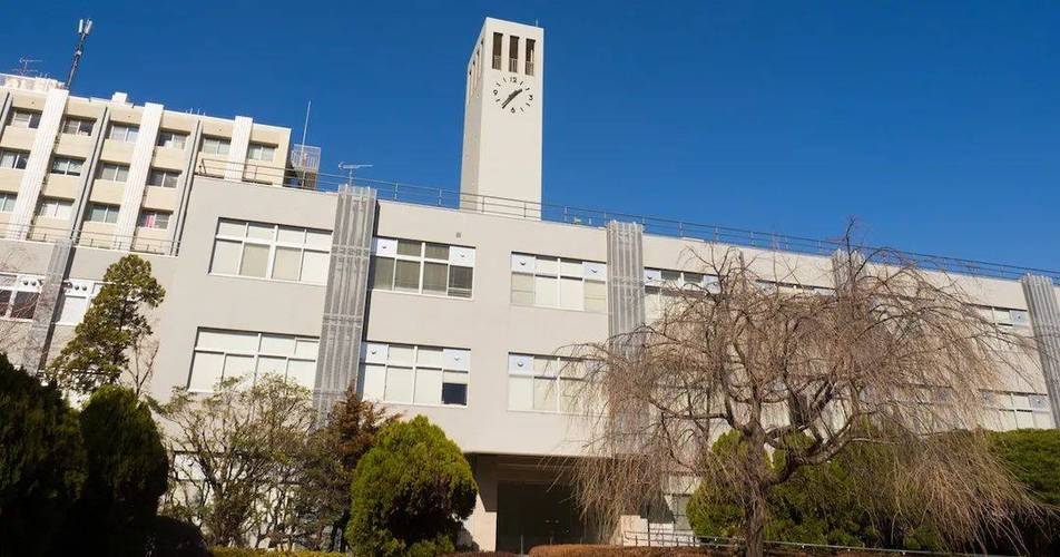 567美术学校办学特色与优势是什么？-第1张图片-泰美艺术培训