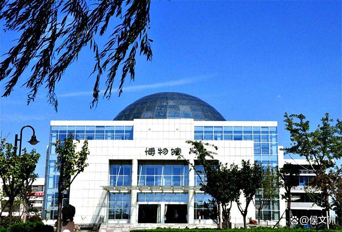 临沂大学音乐学2025有何新规划？-第2张图片-泰美艺术培训