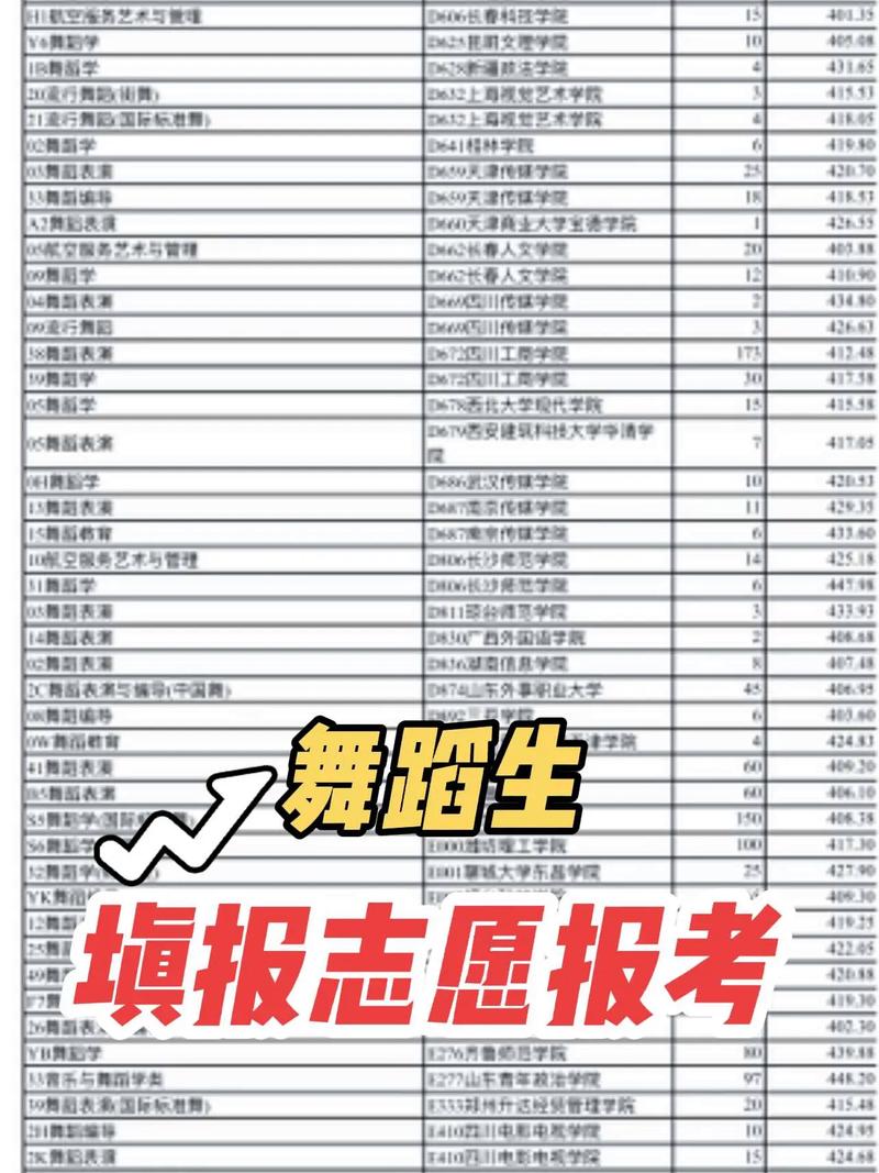 哪些大学承认山东舞蹈联考成绩？-第1张图片-泰美艺术培训