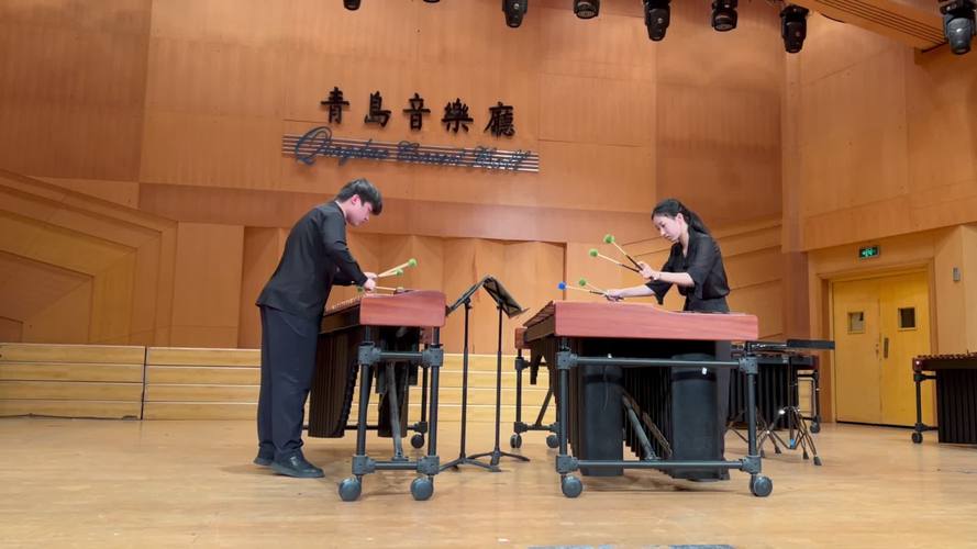 2025音乐联考视频怎么考？重点有哪些？-第3张图片-泰美艺术培训