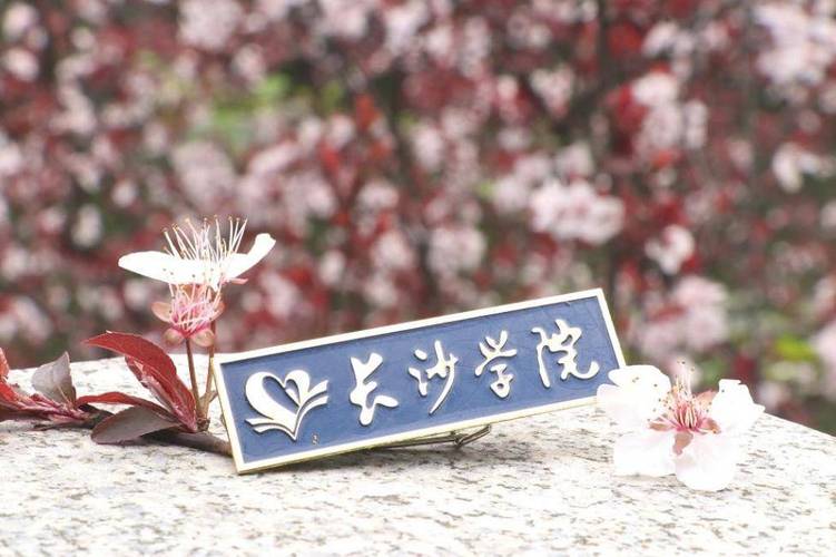 长沙学院美术2025招生计划何时发布？-第2张图片-泰美艺术培训