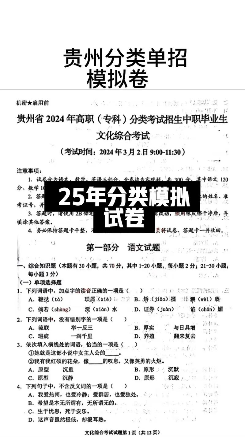 2025贵州音乐考什么?评分标准有哪些?-第3张图片-泰美艺术培训 2025贵州音乐考什么?评分标准有哪些?-第3张图片-泰美艺术培训