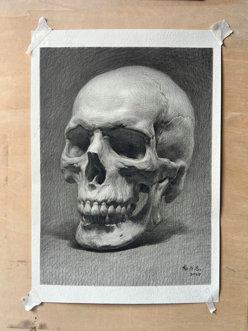 2012年山东联考素描考了什么内容？-第3张图片-泰美艺术培训