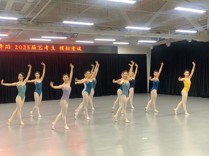 艺考舞蹈类型有哪些？-第1张图片-泰美艺术培训