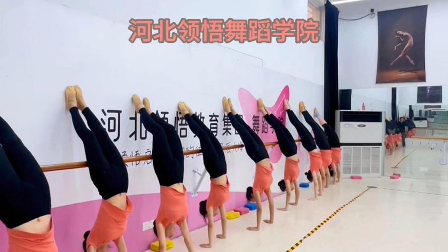 河北舞蹈艺考学校有哪些？-第1张图片-泰美艺术培训