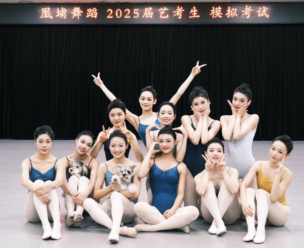 河北舞蹈艺考学校有哪些？-第3张图片-泰美艺术培训