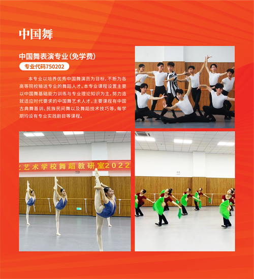 海南舞蹈联考分报哪些学校？-第2张图片-泰美艺术培训