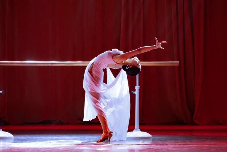 2025年舞蹈专科学校招生政策有何变化？-第3张图片-泰美艺术培训