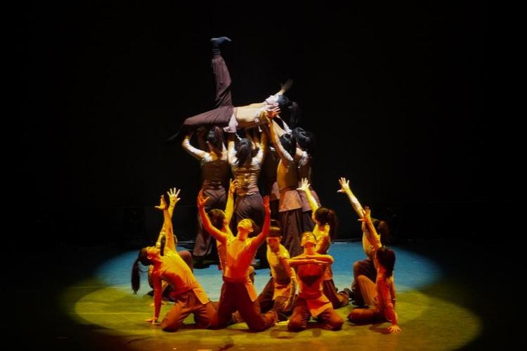 济南哪些大学开设舞蹈专业？-第1张图片-泰美艺术培训