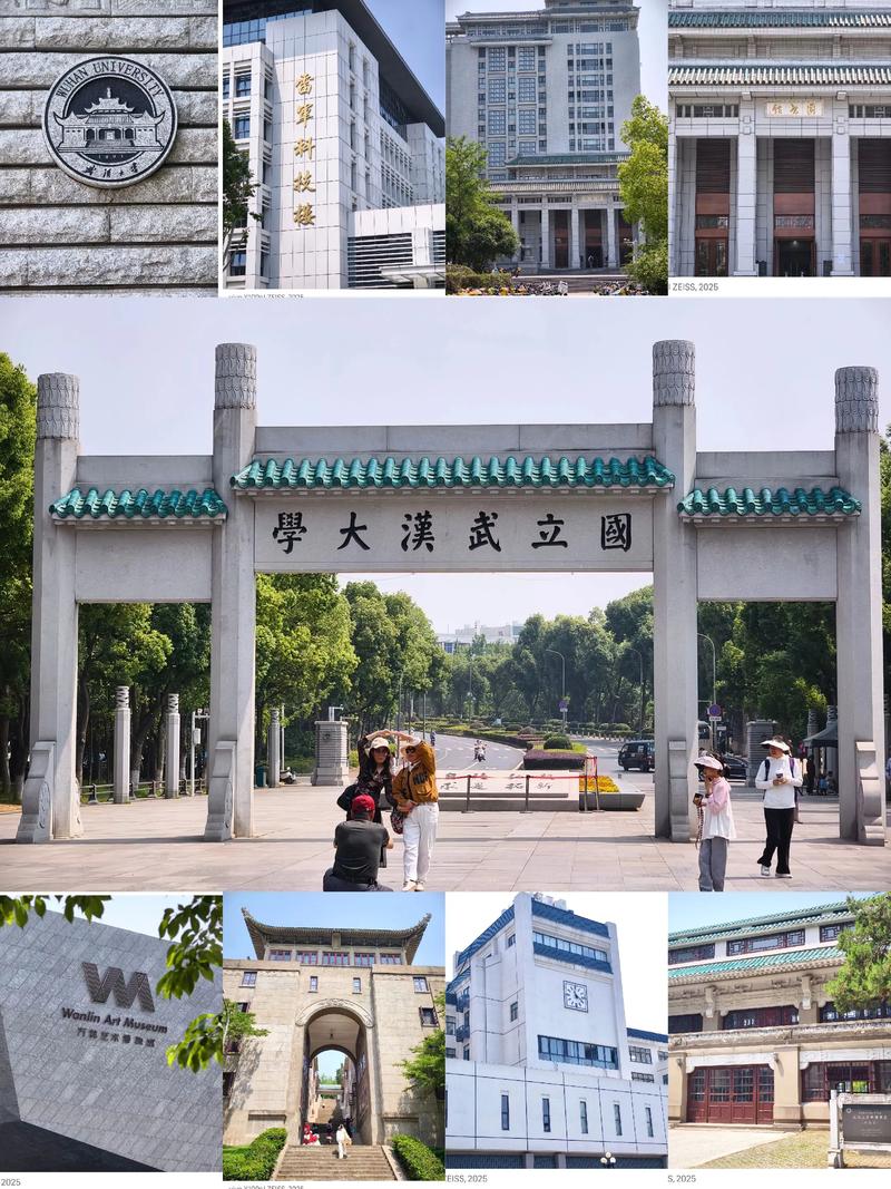 武汉大学2025音乐类招生有何新变化？-第2张图片-泰美艺术培训