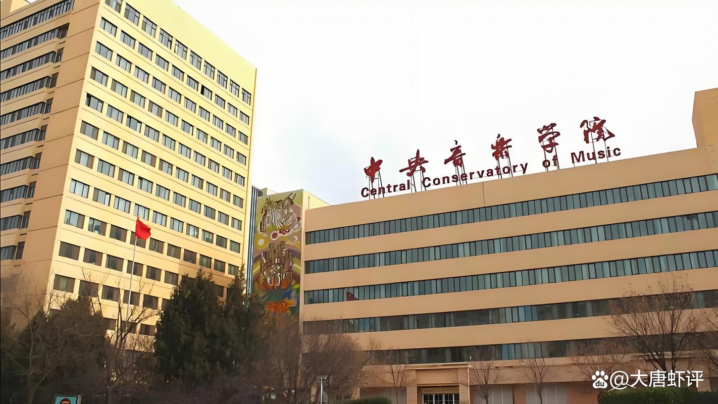 985/211考生为何纷纷转考音乐学院？-第3张图片-泰美艺术培训