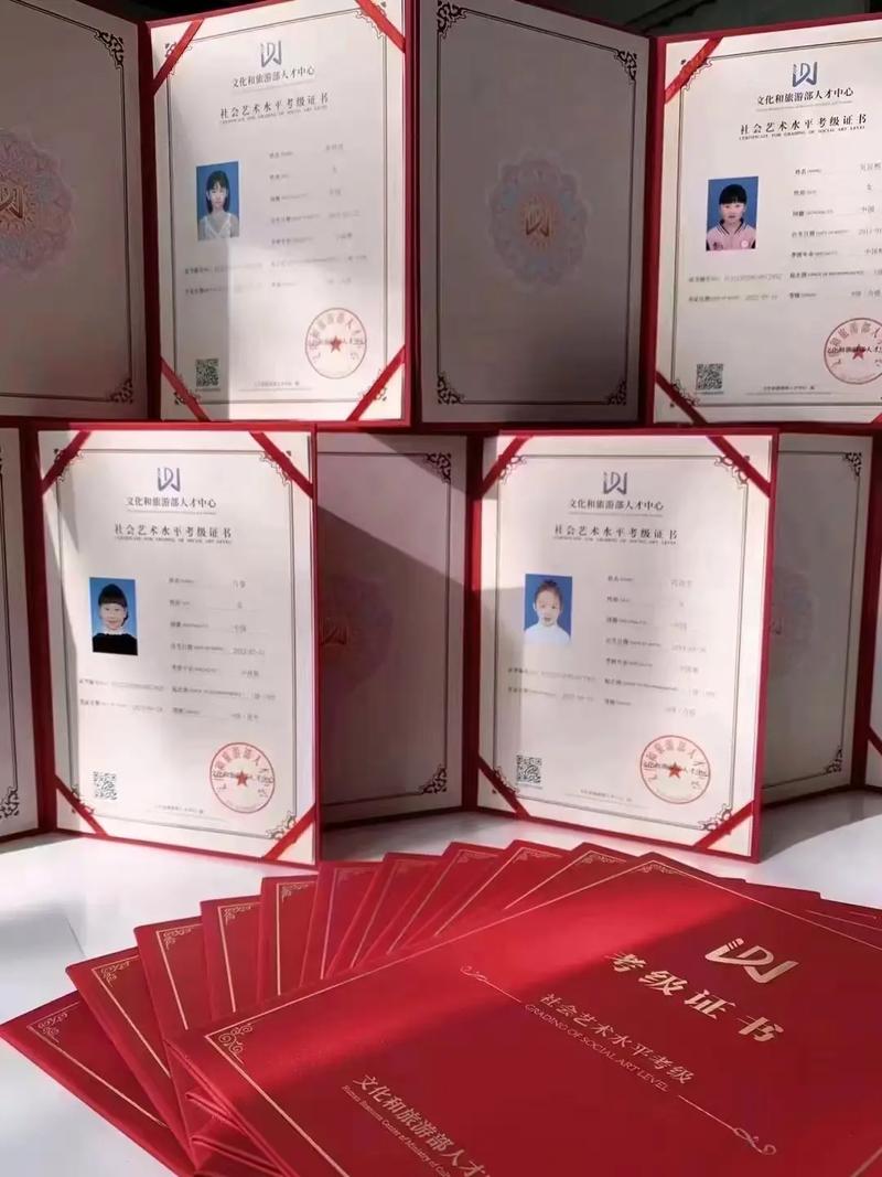 沈阳音乐学院舞蹈等级证怎么考？有用吗？-第2张图片-泰美艺术培训