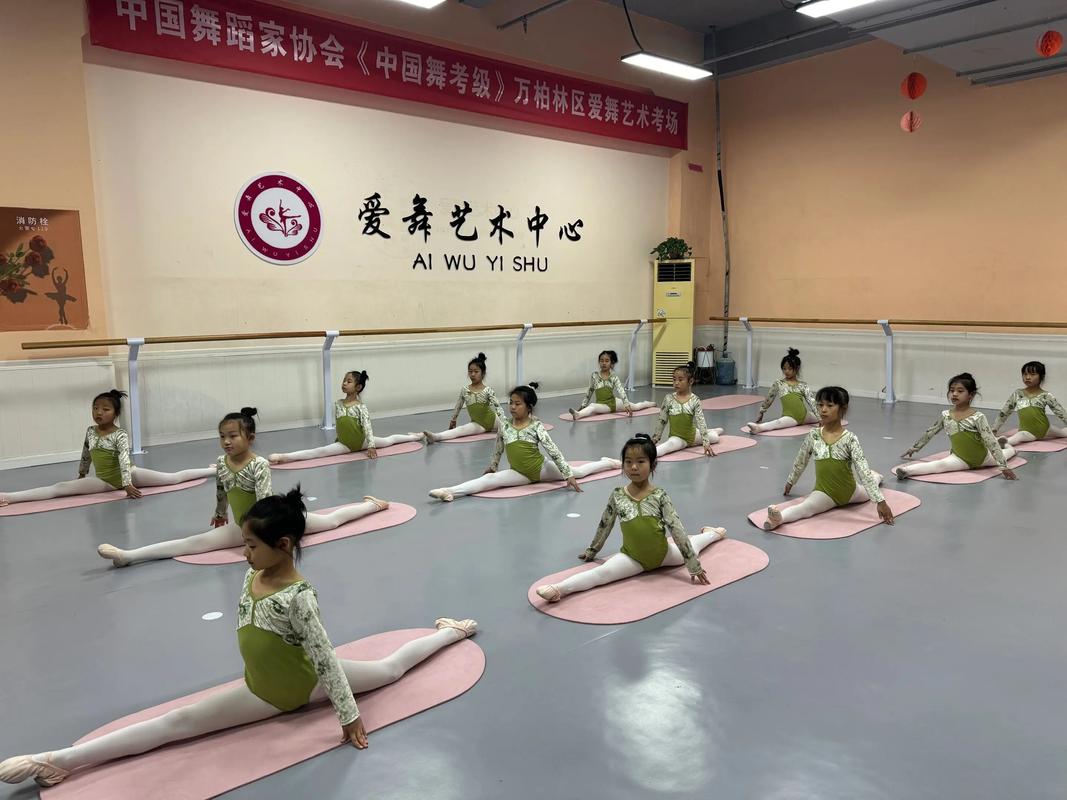 忻州新起点职业学校舞蹈有何特色？-第1张图片-泰美艺术培训