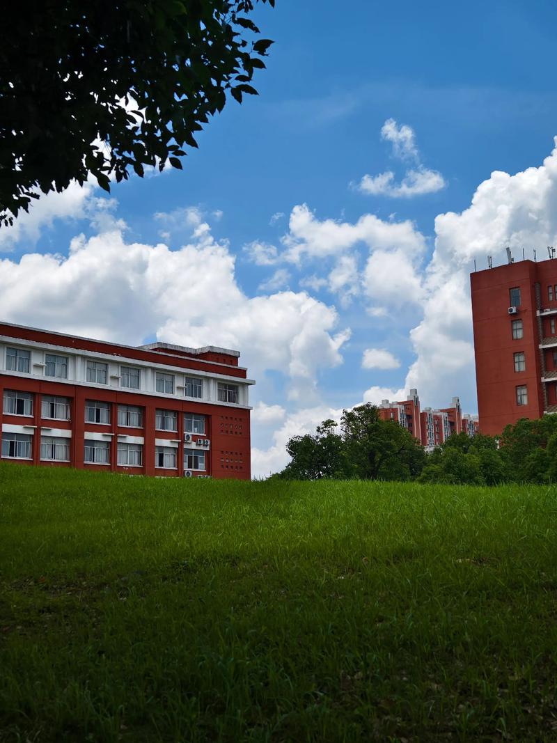 江西高考 音乐学 高校-第3张图片-泰美艺术培训