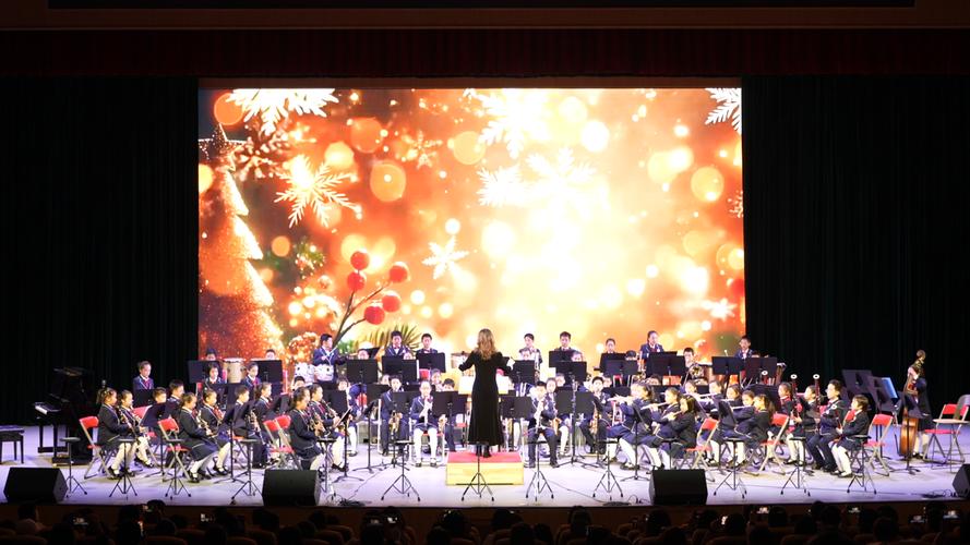 2025年学校音乐课程如何创新穿插？-第2张图片-泰美艺术培训