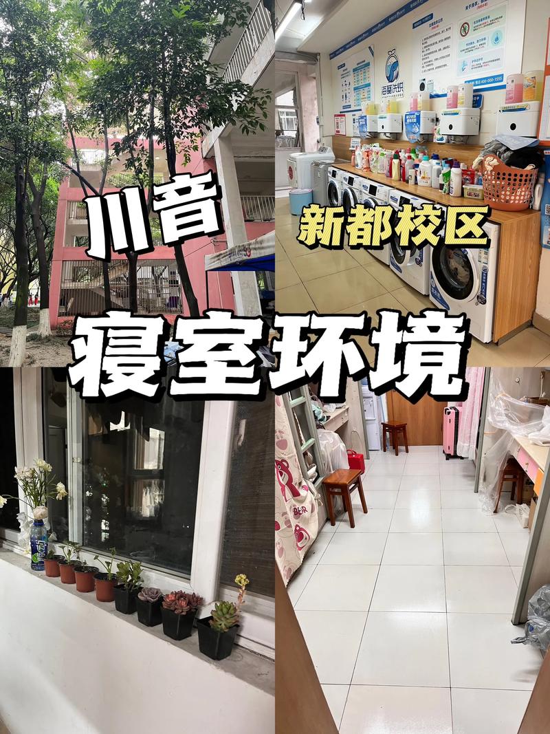 四川音乐学院音乐管理系-第1张图片-泰美艺术培训 四川音乐学院音乐管理系-第1张图片-泰美艺术培训