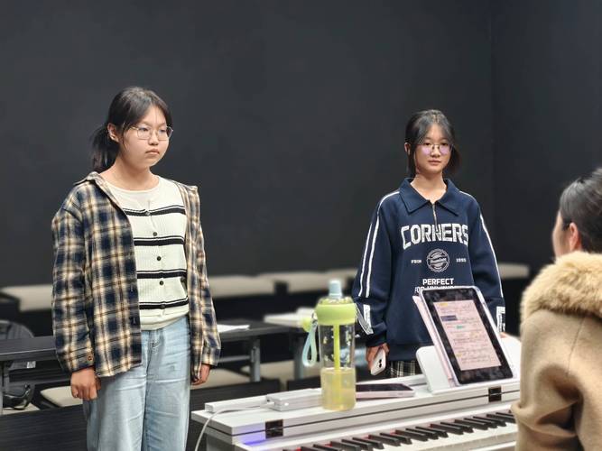 2025年艺考音乐生-第2张图片-泰美艺术培训 2025年艺考音乐生-第2张图片-泰美艺术培训