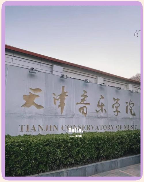 2025年天津音乐学院招生政策何时发布？-第2张图片-泰美艺术培训