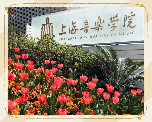 上海音乐学院音乐教育系有何特色？-第2张图片-泰美艺术培训