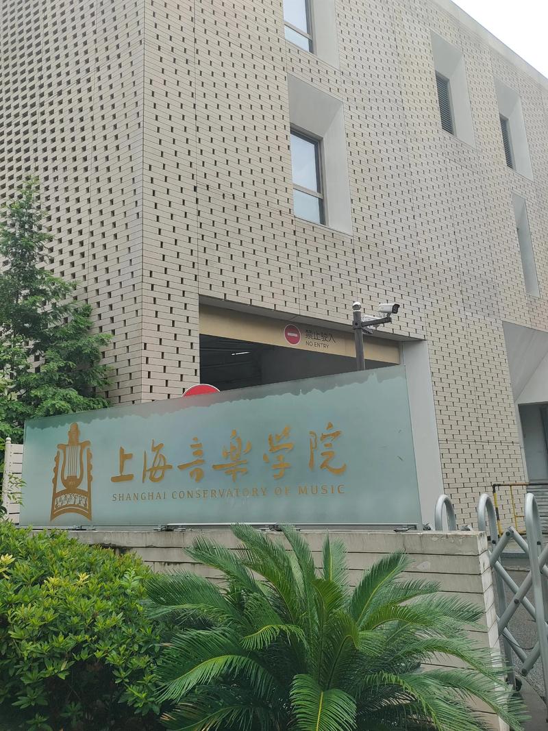 上海音乐学院音乐与传媒学什么？-第2张图片-泰美艺术培训