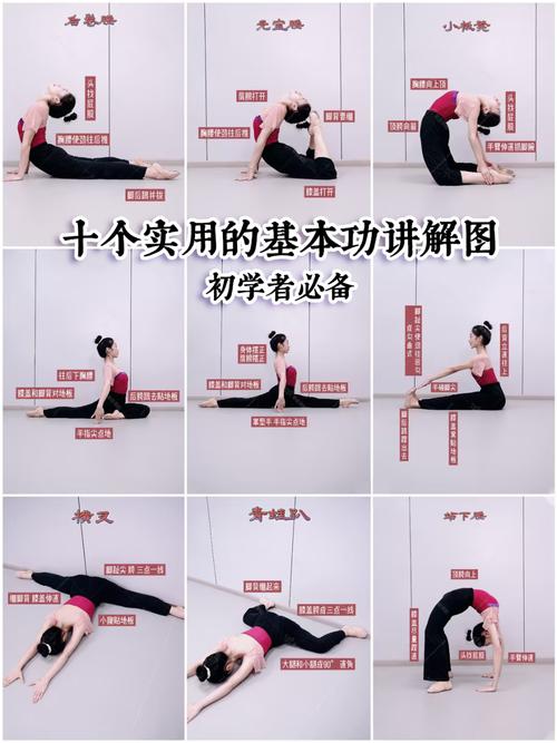 舞蹈专业基本动作有哪些-第1张图片-泰美艺术培训