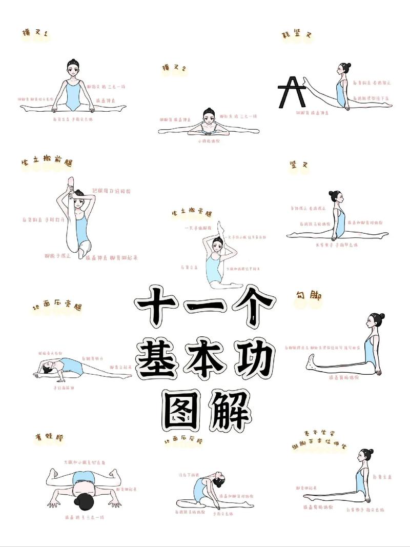 舞蹈专业基本动作有哪些-第2张图片-泰美艺术培训