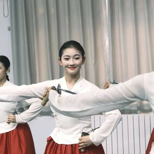 艺校有哪些学校大学舞蹈-第2张图片-泰美艺术培训