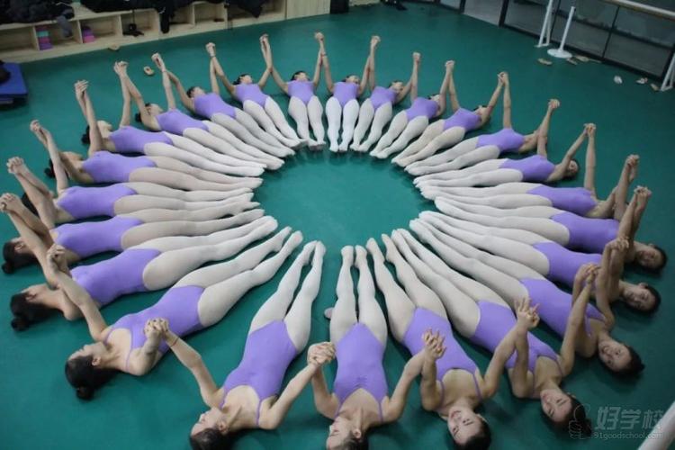 艺校有哪些学校大学舞蹈-第3张图片-泰美艺术培训