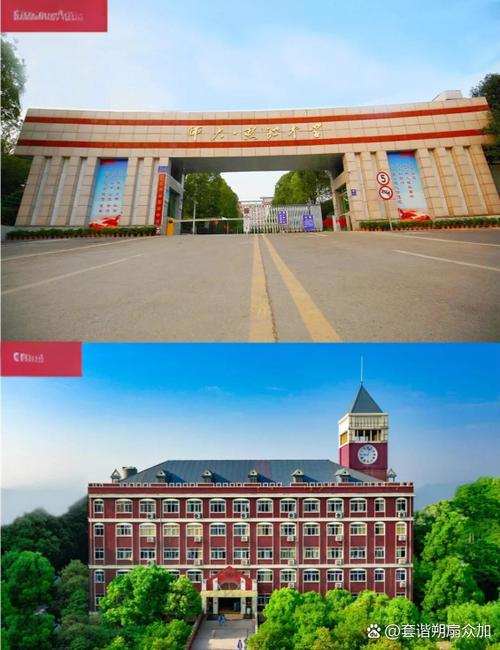 承认湖南联考的外省学校-第2张图片-泰美艺术培训 承认湖南联考的外省学校-第2张图片-泰美艺术培训