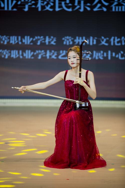 艺考才艺表演选什么乐器好?-第1张图片-泰美艺术培训 艺考才艺表演选什么乐器好?-第1张图片-泰美艺术培训